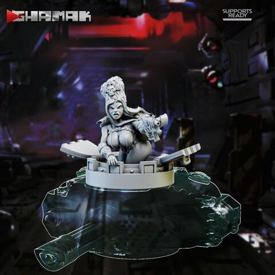 Vostroyan Pinup Tank Commander