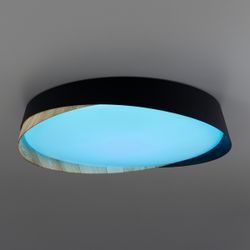 Citilux BONNY CL754350G LED RGB Светильник с пультом Белый+Венге