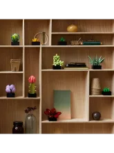 Конструктор Botanical Collection 10309 Суккуленты