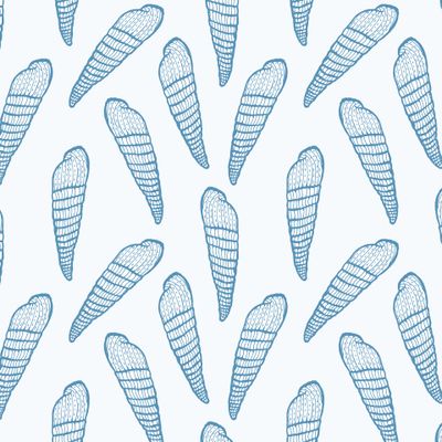 Длинные ракушки