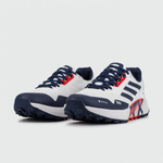 кроссовки Adidas Terrex Agravic Flow 2 White Blue