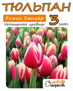 Тюльпан Луковица, Роман Эмпайр, 3+ шт