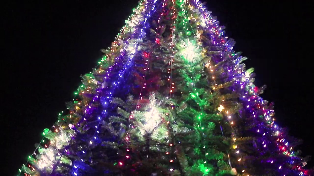 Уличная гирлянда "Тающие сосульки-Мишура" GT (24В) на елку от 4 до 30 м