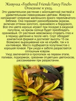 Живучка Френдс Фенси Финч Пёрышки чудесного Зяблика