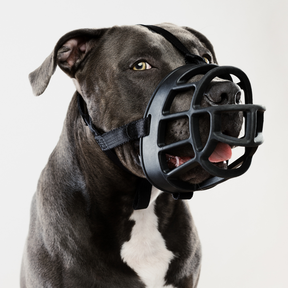 Намордник для собак Баскервилль «BASKERVILLE ULTRA»