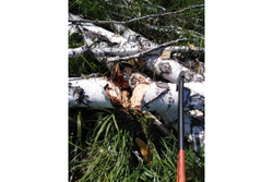 Топор-колун PATRIOT T21 PA 711 Logger 777001330