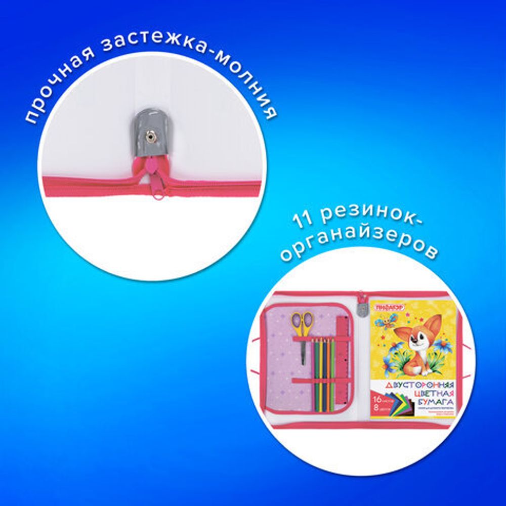 Папка для труда на молнии с ручками ПИФАГОР А4, 1 отделение, пластик, органайзер, "Fluffy akita", 272227