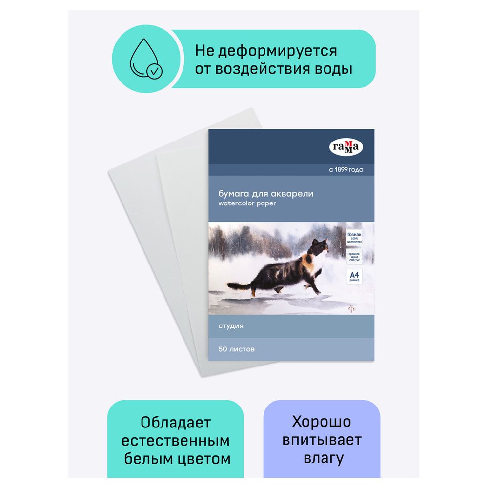 Папка для акварели А4, 50л, 200гр/м, Гамма Студия, среднее зерно