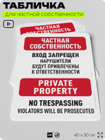 Табличка для частной территории "Частная собственность, вход запрещен", на дом, для участка, организаций, предупреждающая, 40х30 см, Silver Plane x Айдентика Технолоджи