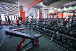 Impulse SL7011 многопозиционная скамья