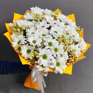 Букет из 7 кустовых хризантем сорта "KENNEDY WHITE" и жёлтой гипсофилы