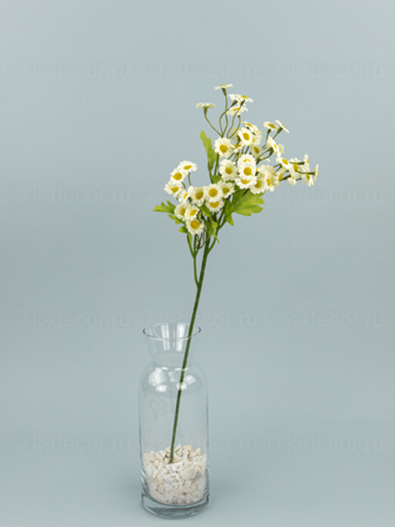 Ветка ромашки аптечной