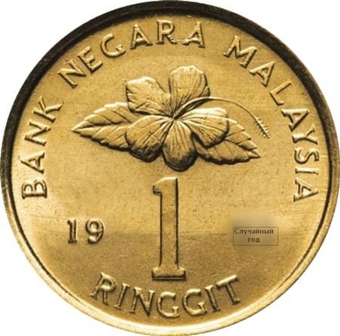 1 ринггит 1993-1996 Малайзия