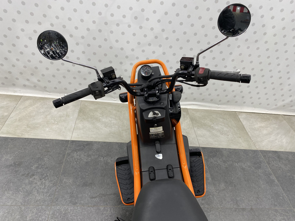Honda PS250 Big Ruckus , 2006