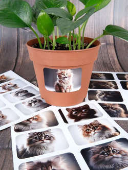 Наклейки детские на телефон стикеры на карту Котики