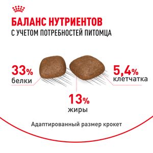 Сухой корм Royal Canin Urinary Care для взрослых кошек для поддержания здоровья мочевыделительной системы