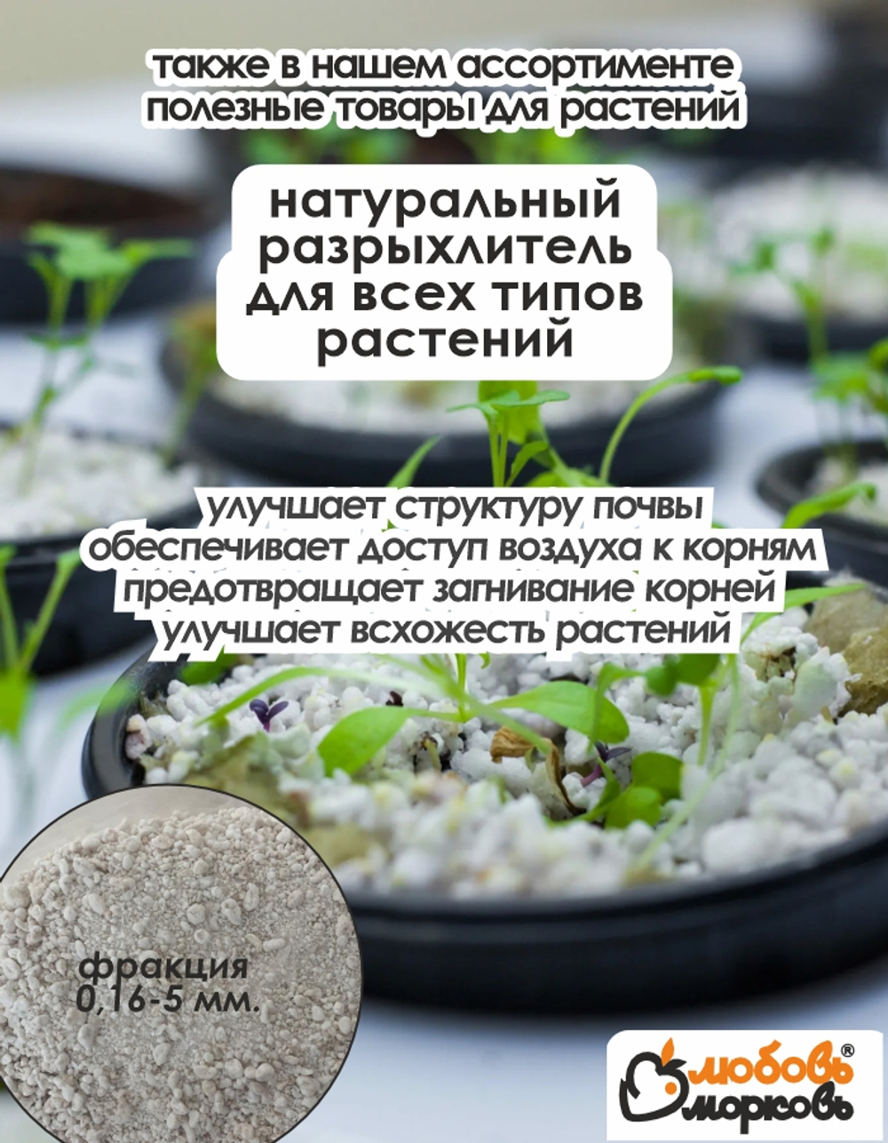 Тюльпан Луковица, Еллоу Помпонетт, 5шт (Любовь Морковь)