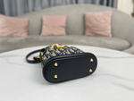 Christian Dior Small C'est Dior Bag