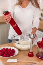 Блендер погружной 3 в 1 Russell Hobbs 24700-56 красный
