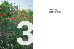 Beyond the Garden: Designing Home Landscapes with Natural Systems