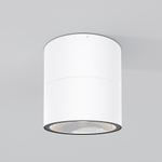 Уличный потолочный светильник Outdoor O310CL-L12W3K