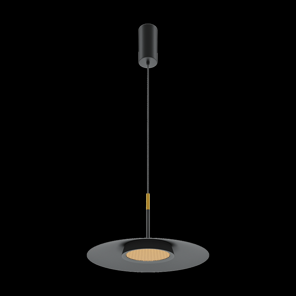 Подвесной светильник Maytoni MOD041PL-L15B3K1