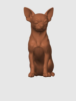 Чихуахуа короткошерстная
