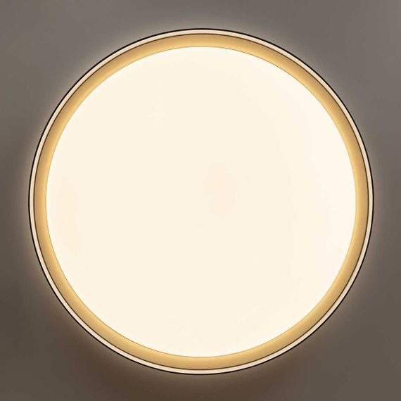 Потолочный светодиодный светильник Citilux Boss CL751451G