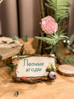 Волшебные феи