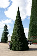 Уличная елка каркасная "Русская" (пвх) от 4 до 30 м