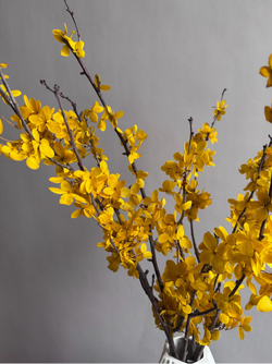 Композиция в вазе Форзиция