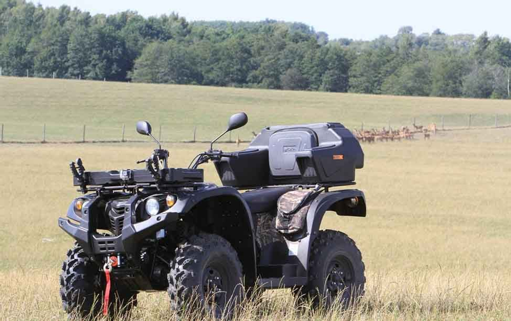 Квадроцикл BALTMOTORS Striker 700 EFI (ПСМ)