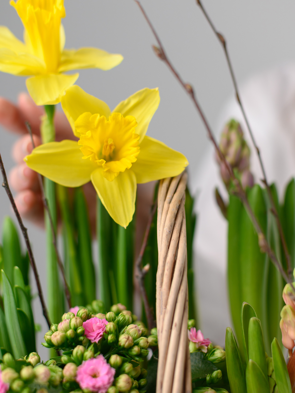 Дыхание весны