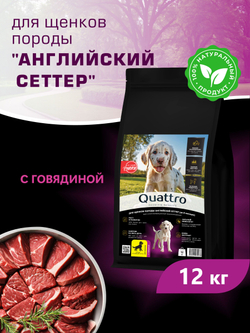 Корм сухой для щенков породы Английский сеттер, с говядиной, 12 кг, QUATTRO