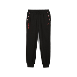 Мужские брюки PUMA F1 ESS+ Sweatpants - relaxed