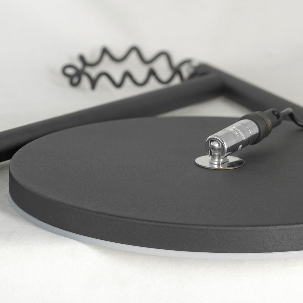 Торшер светодиодный Lussole LSP-0901