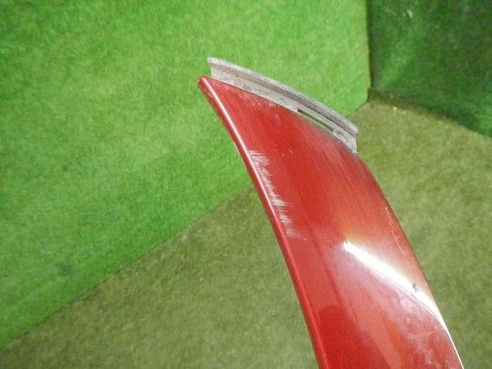 DSCN3781.JPG