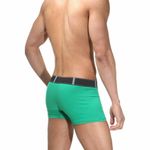 Трусы мужские боксеры зеленые с принтом "огонь" DARKZONE DZN5005