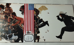Винтажная виниловая пластинка LP Chicago X (Japan 1976) (Promo) (Obi Copy)