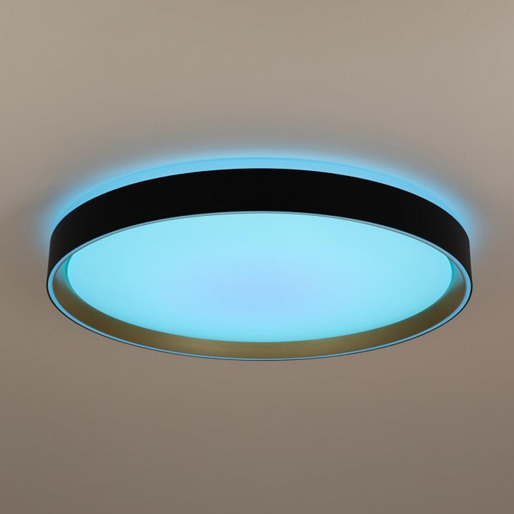 Накладной светильник Citilux BOSS CL751451G