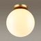 Потолочный светильник Odeon Light Hightech Bosco 4248/1C