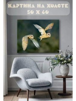 Картина на стену 40 X 50 Совы