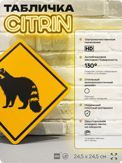 Табличка прикольная "Осторожно, еноты" на дверь и стену, информационная и предупреждающая, декоративный знак, 24,5х24,5 см, пластиковая, Айдентика Технолоджи