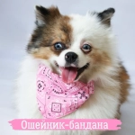 Ошейник с банданой для кошек и собак мелких пород «ЛЮБИМЫЙ БРО», цвет розовый, р 23-40см/15*10*1,5см (лейбл)