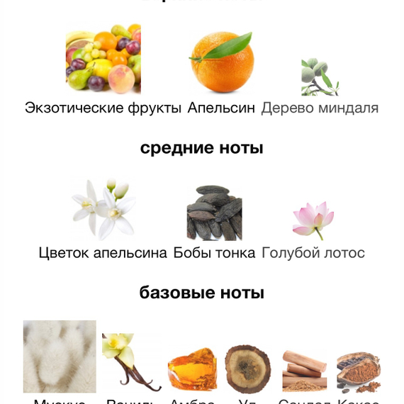 HAUTE FRAGRANCE COMPANY Divine Blossom