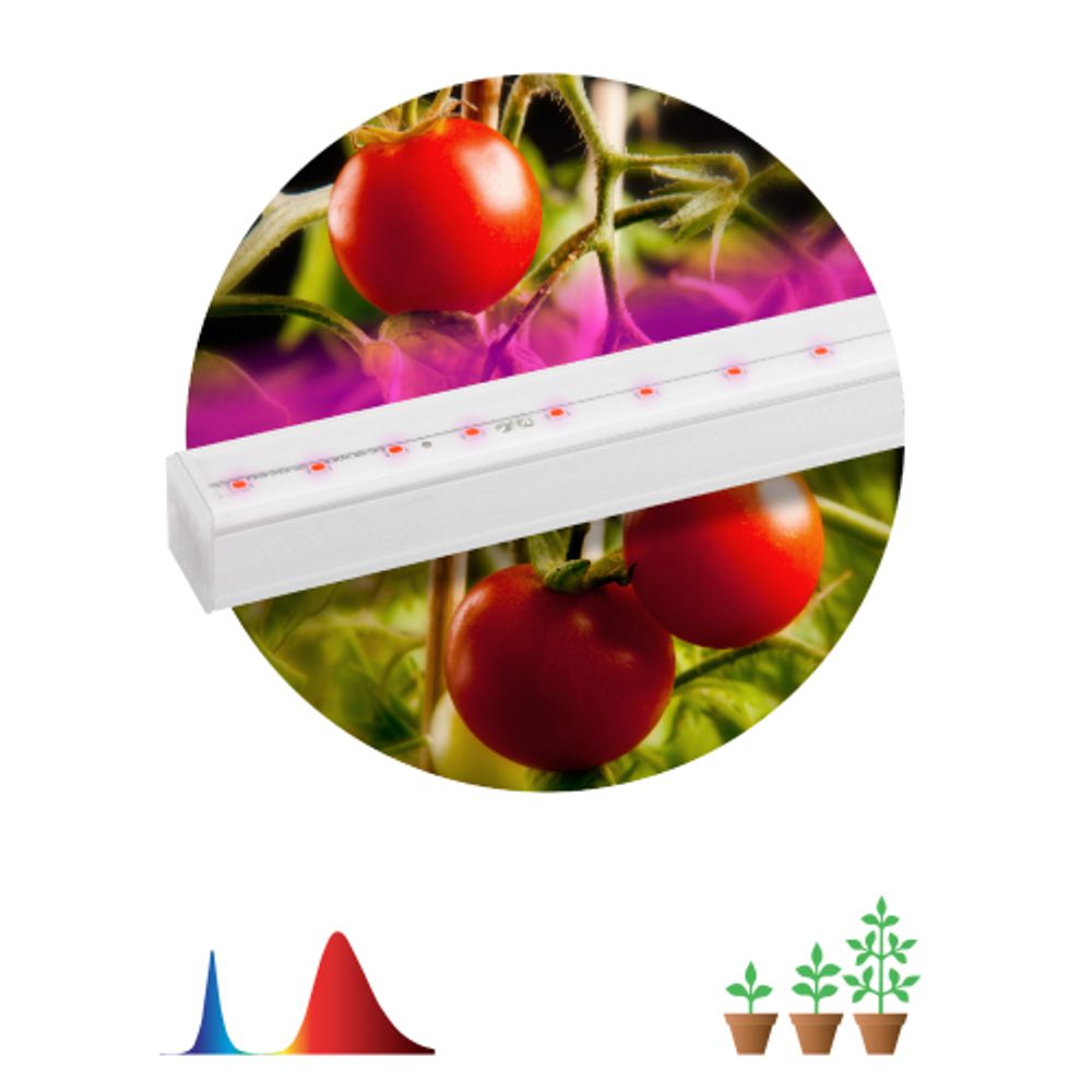 Светильник для растений, фитолампа светодиодная линейная ЭРА FITO-14W-Т5-N красно-синего спектра 14 Вт Т5