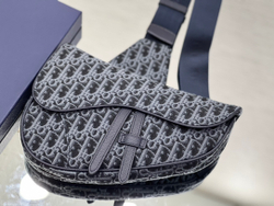 Christian Dior Saddle 26 cm