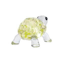 IDYLLIA:BABY TORTOISE