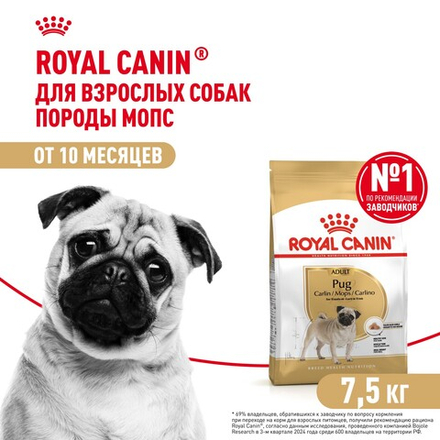 Royal Canin Pug Adult Мопс Эдалт Корм сухой для взрослых собак породы Мопс от 10 месяцев 7,5кг