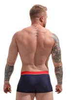 Пляжные боксеры с контрастными полосками по бокам (Размер: XXL) (Цвет: зеленый)